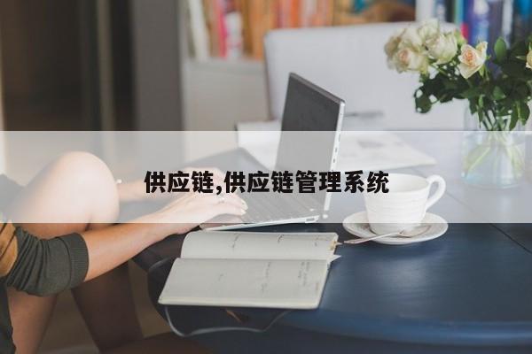 供应链,供应链管理系统