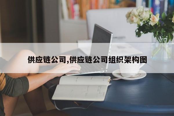 供应链公司,供应链公司组织架构图
