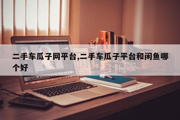 二手车瓜子网平台,二手车瓜子平台和闲鱼哪个好