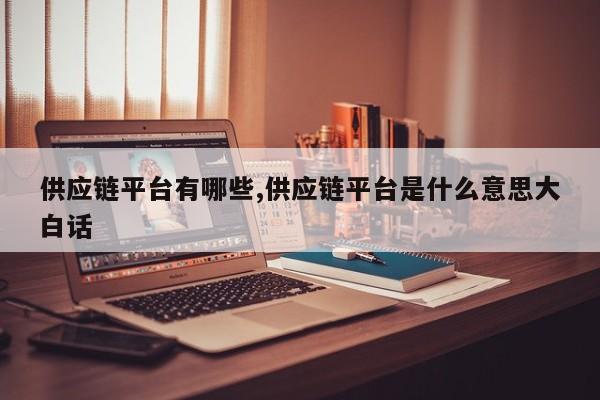 供应链平台有哪些,供应链平台是什么意思大白话