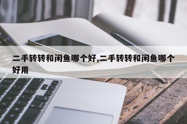 二手转转和闲鱼哪个好,二手转转和闲鱼哪个好用