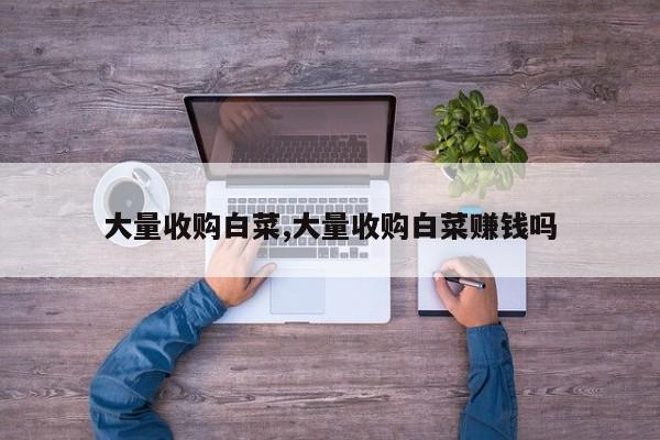 大量收购白菜,大量收购白菜赚钱吗