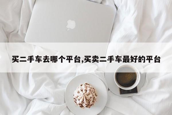 买二手车去哪个平台,买卖二手车最好的平台