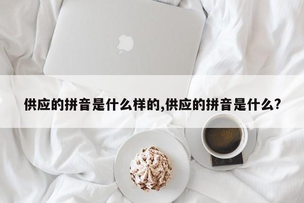 供应的拼音是什么样的,供应的拼音是什么?